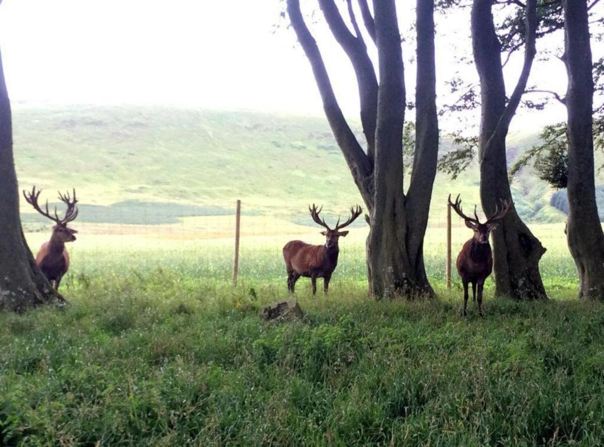 Mauldslie Hill Cottage Heriot ภายนอก รูปภาพ
